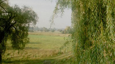 Pastures near Secymin