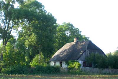 Fences made from wicker and willow trees