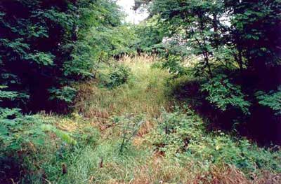 Place where the Church of Nowa Wieś once was located