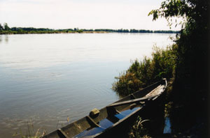 Vistula bank near Płock