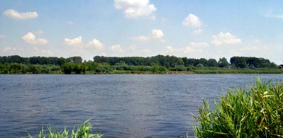 The Kępa Tokarska seen from the left bank of the Vistula near Płock