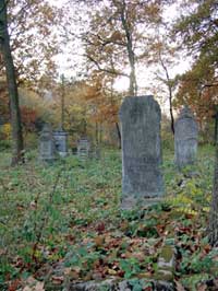 Cemetery at Secymin
