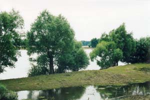 Remains of the Vistula flood in 2001